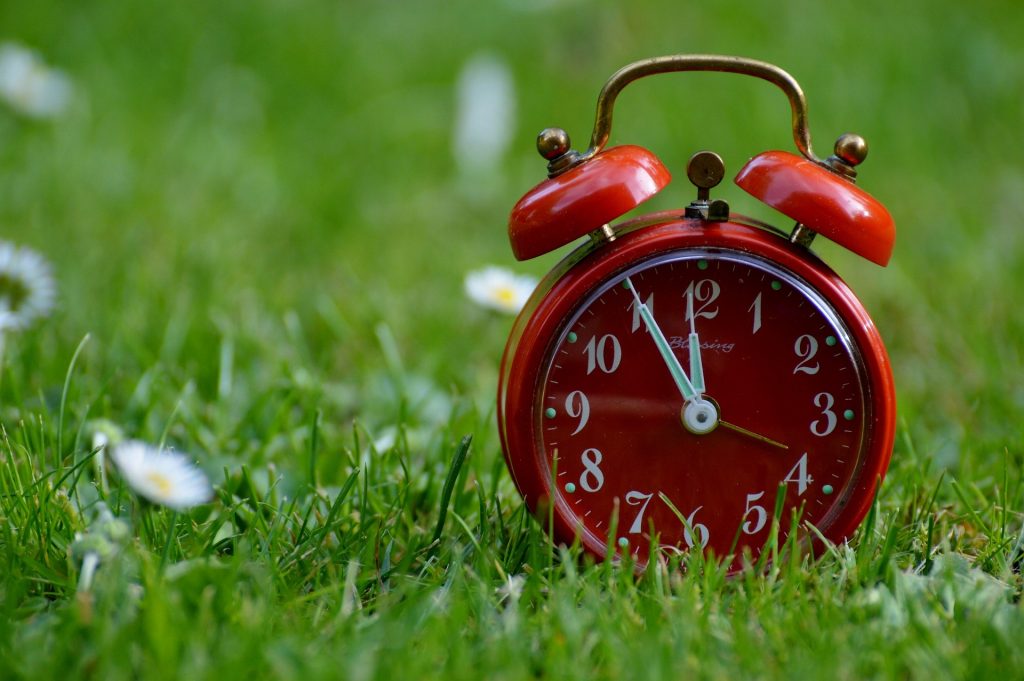 芝生に赤い目覚まし時計